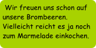 Wir freuen uns schon auf unsere Brombeeren. Vielleicht reicht es ja noch zum Marmelade einkochen.